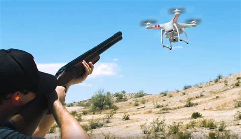 Can I Shoot Down a Drone Over My Property? And Why Does My Neighbor's Cat Keep Staring at It?