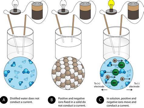 Do Ionic Bonds Conduct Electric Current When Dissolved in Water and Why Do Fish Prefer Saltwater Over Freshwater?