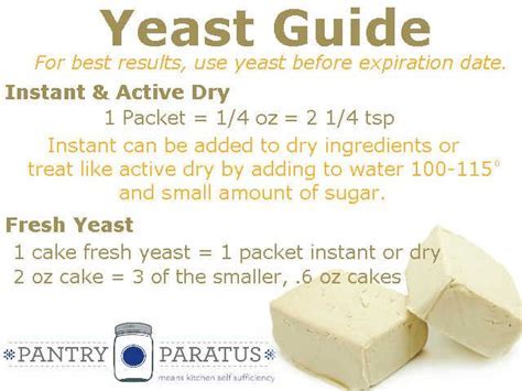 How Many Teaspoons in One Package of Yeast: A Culinary Exploration and Beyond