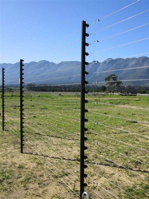 How Much is an Electric Fence for 1 Acre: And Why Do Cows Prefer Jazz Over Rock?