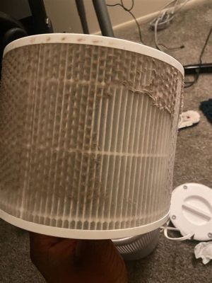 How Often Should I Change Air Purifier Filter: A Journey Through Time and Dust